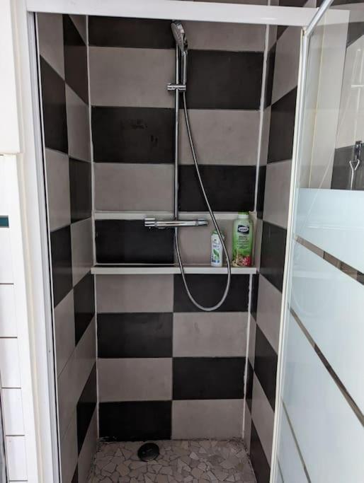 Appartement Plein Centre Saint Die Des Vosges ภายนอก รูปภาพ