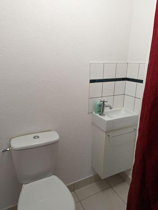 Appartement Plein Centre Saint Die Des Vosges ภายนอก รูปภาพ